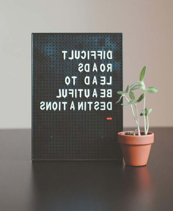 Portfolio 3